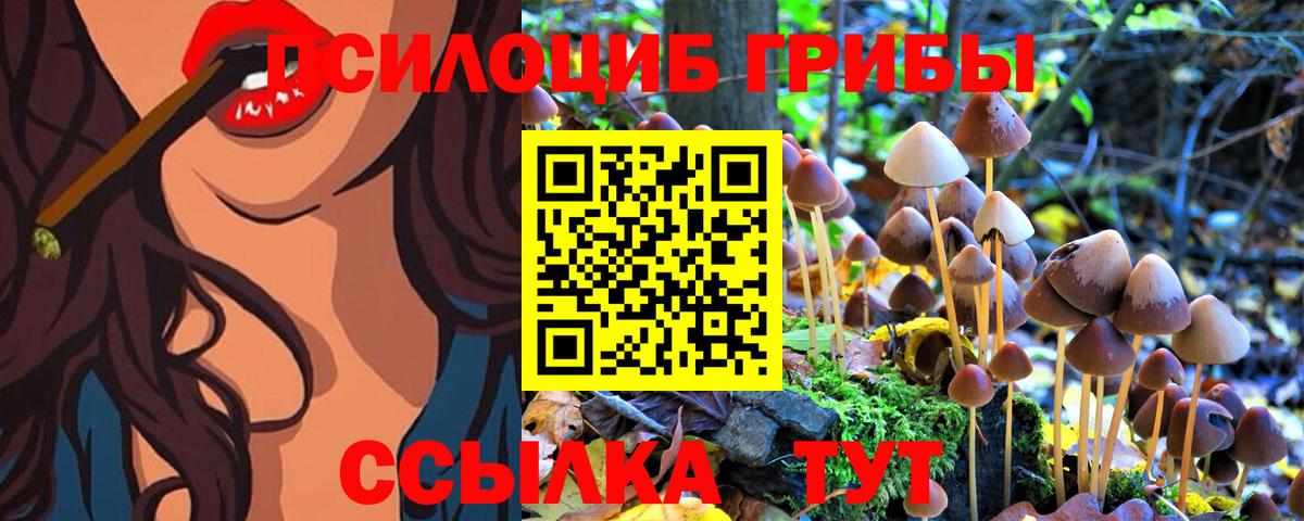 Верхняя Пышма  Галлюциногенные грибы GOLDEN TEACHER  где купить наркотик  Псилоцибиновые грибы прущие грибы  Вход с VPN 